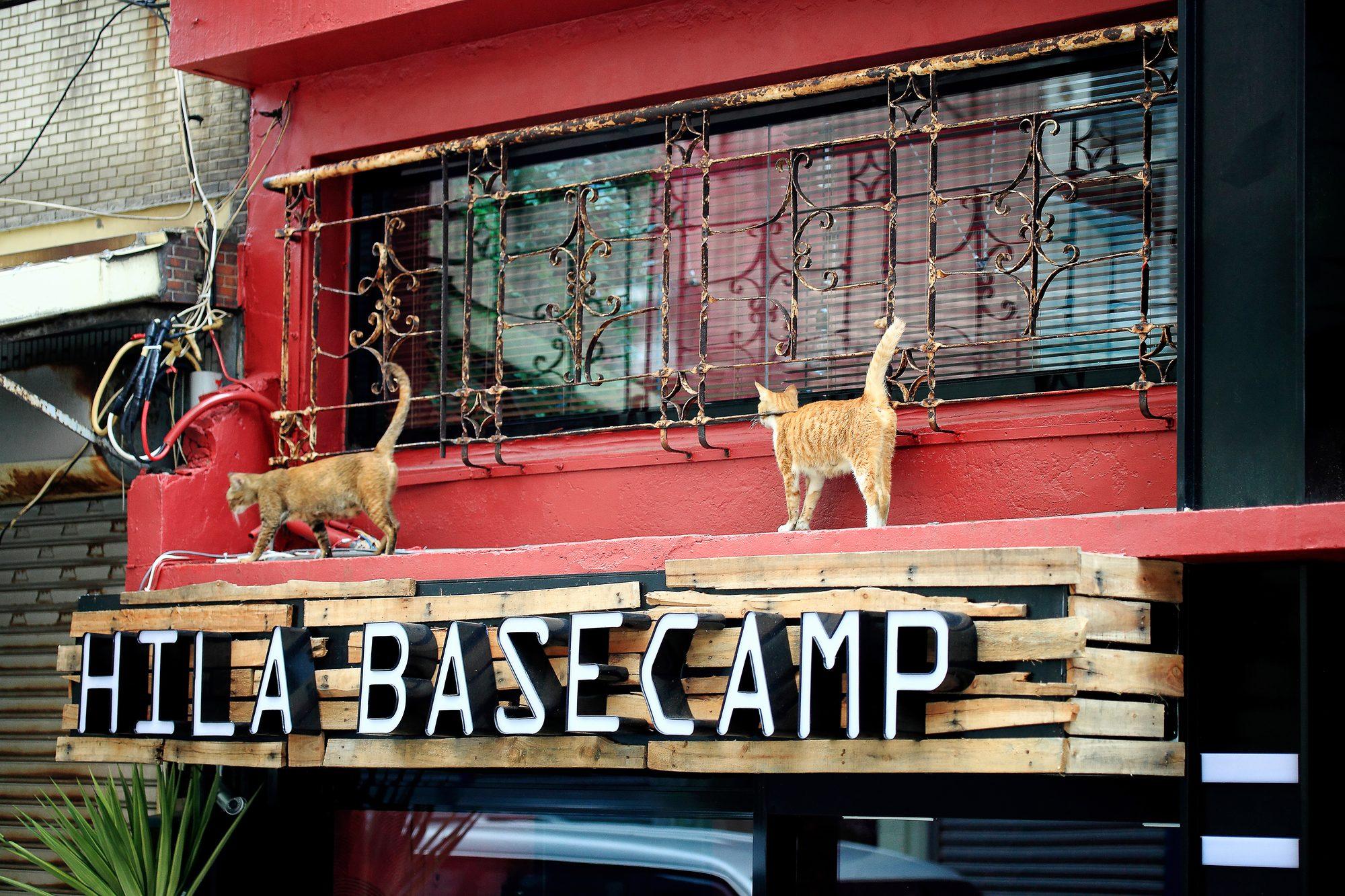 HILA BASECAMP｜老屋翻新室內設計 照片 3